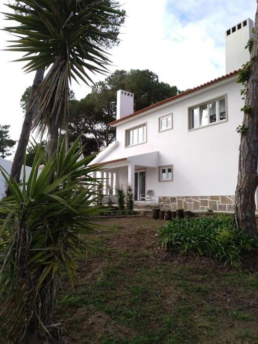 Banzao Pineforest Family &friends Pool Garden Villa