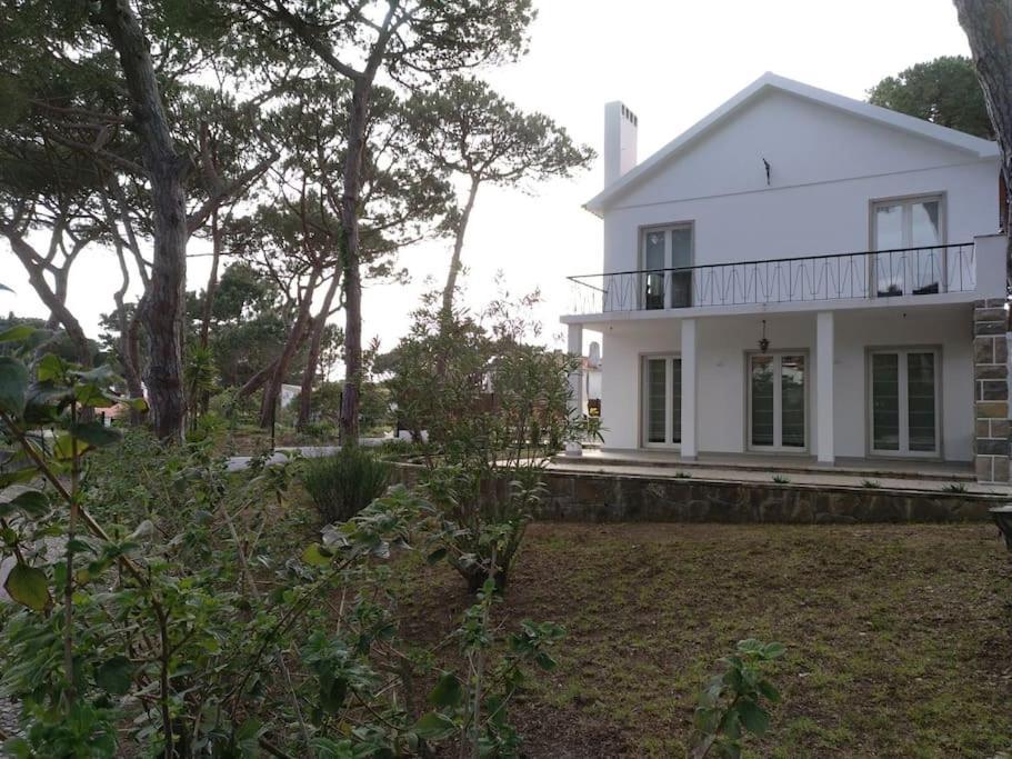 Banzao Pineforest Family &friends Pool Garden