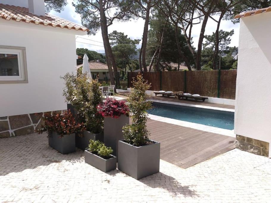 Banzao Pineforest Family &friends Pool Garden Villa Colares