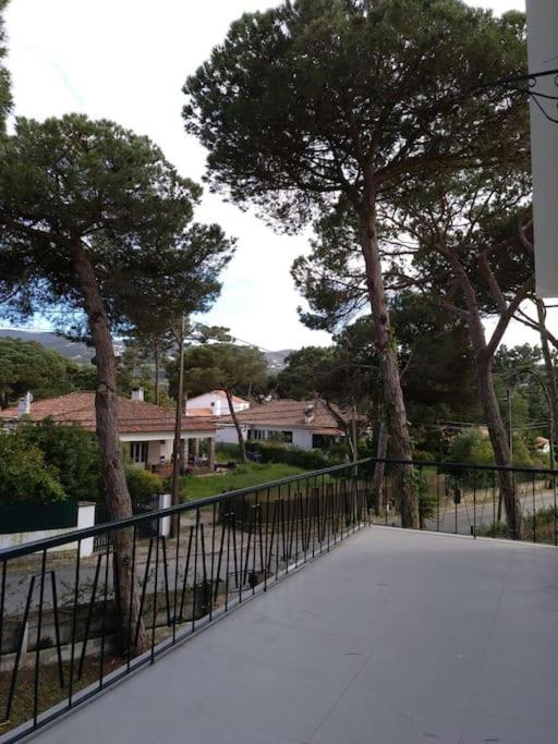 Banzao Pineforest Family &friends Pool Garden Colares