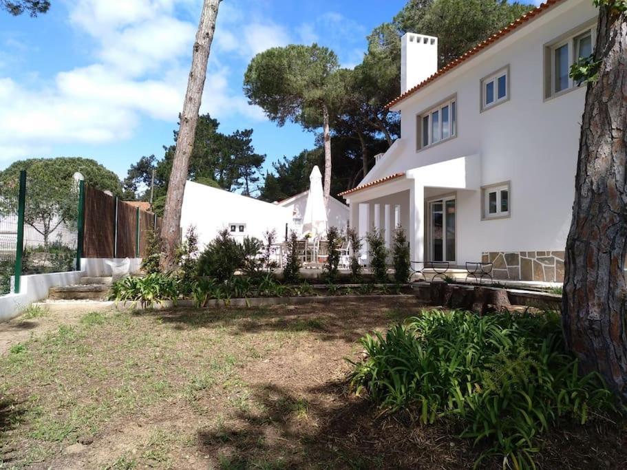 Villa Banzao Pineforest Family &friends Pool Garden Colares